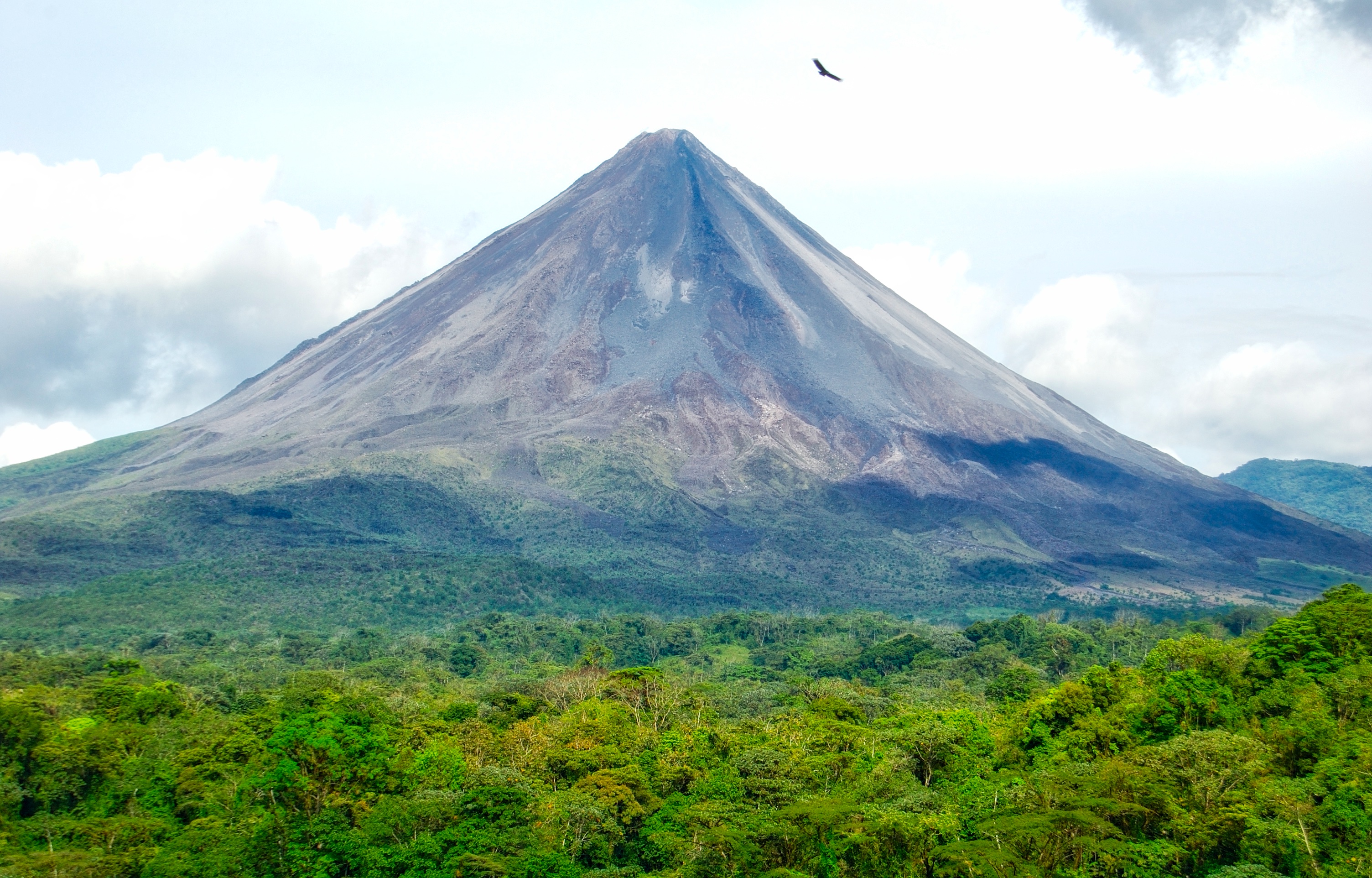 Arenal Volcano and Turkey Vulture | Shutterbug